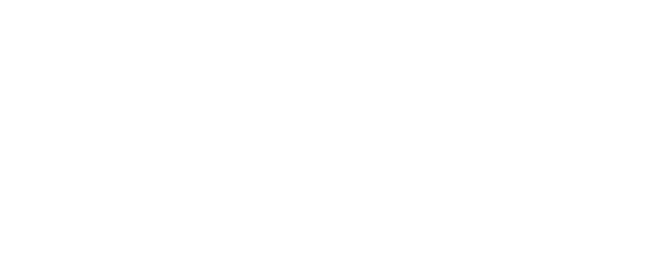 Main Logo